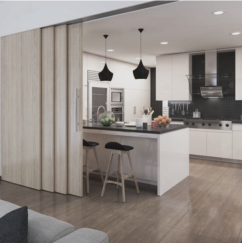 Multi-panel hidden track sliding doors separating kitchen from living space